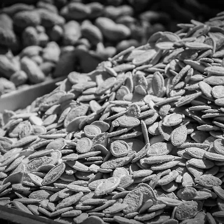 Gardenia 2* パレルモ